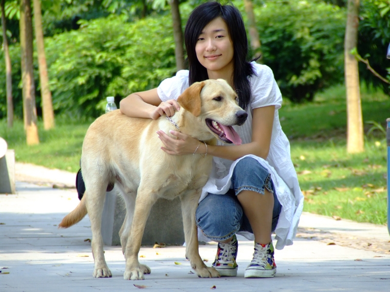 风中的绿叶的第一张照片--常州相亲服务中心