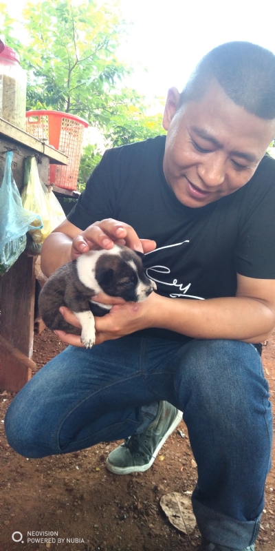 深圳相亲的第一张照片--常州相亲服务中心