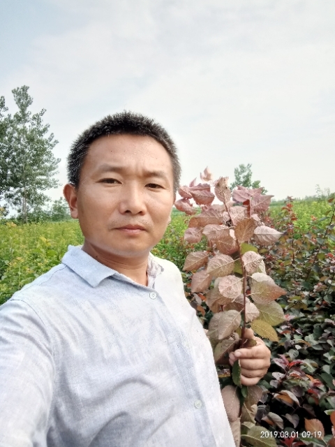 孩子爸的第二张照片--常州相亲服务中心