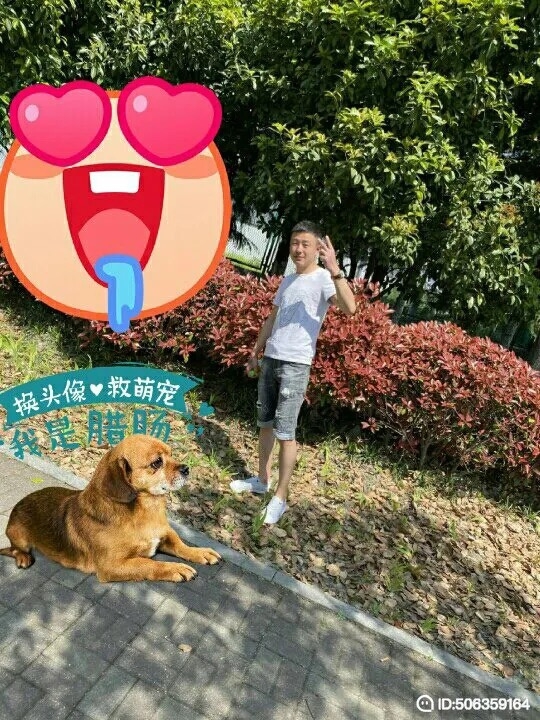 我若不坚强谁替我勇敢的第一张照片--常州相亲服务中心