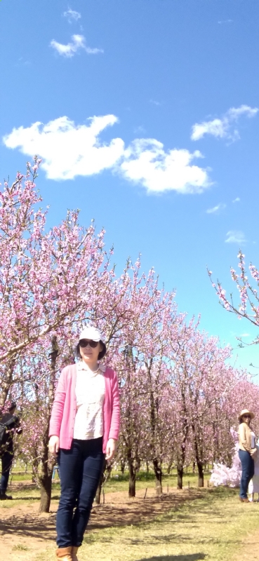 Grace的第二张照片--常州相亲服务中心