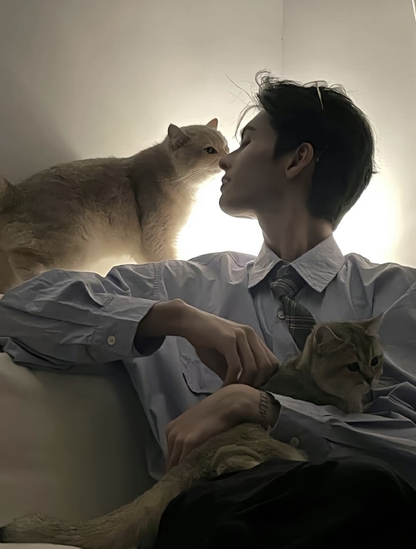 怪猫的第一张照片--常州相亲服务中心