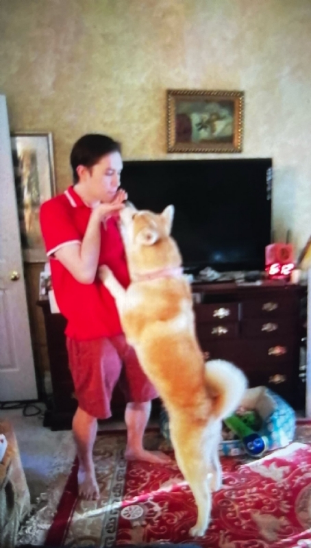 Leluch的第一张照片--常州相亲服务中心