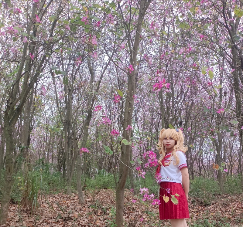 暮秋的第三张照片--常州相亲服务中心