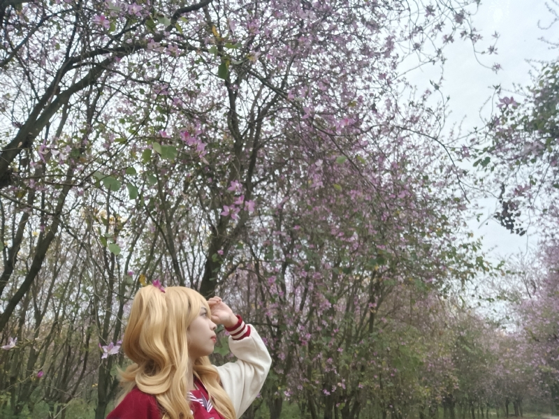 暮秋的第五张照片--常州相亲服务中心